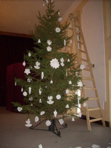 photo7.jpg